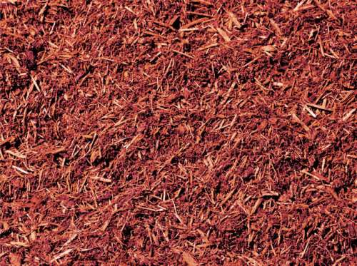 Burgundy Mulch detail