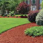 Burgundy Mulch detail