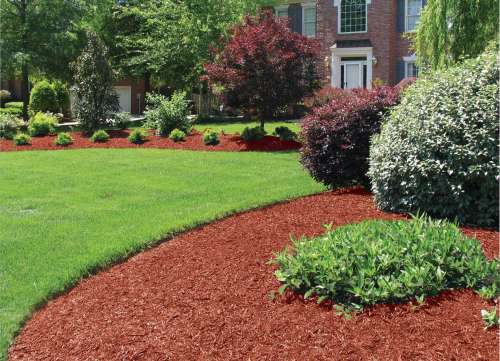 Burgundy Mulch detail