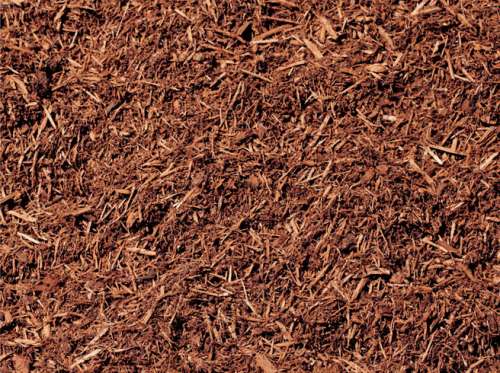 Hemlock Mulch detail