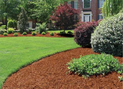 Hemlock Mulch detail