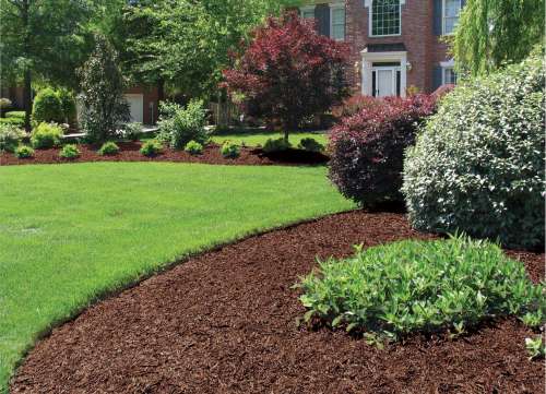 Sahara Mulch detail